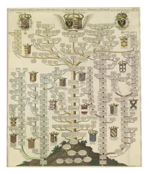 Descendance des maisons royales européennes de la maison de Habsbourg